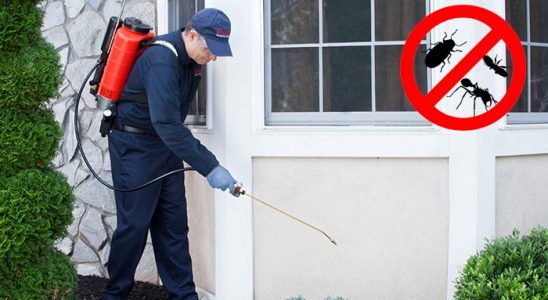 Efeler Hamam Böceği İlaçlama böcek ilaçlama ve haşere kontrolü — ilaclama-tr.com